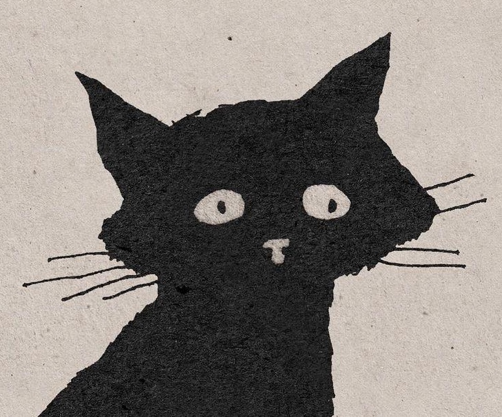 Developer illustration / portrait